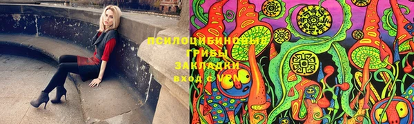 стафф Алексин