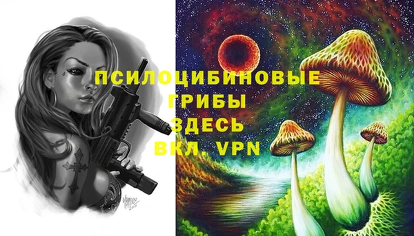 прущая мука Арсеньев